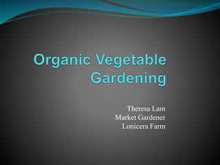 Theresa Lam
Market Gardener
Lonicera Farm
 