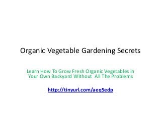 Organic Vegetable Gardening Secrets

 Learn How To Grow Fresh Organic Vegetables in
  Your Own Backyard Without All The Problems

         http://tinyurl.com/aeq5edp
 