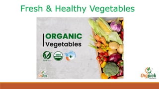 Fresh & Healthy Vegetables
 