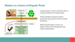 Organic Waste And Their Use For Production Of Biogas And Manures.pptx
