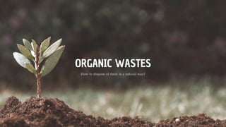 ORGANIC WASTES
How to dispose of them in a natural way?
 