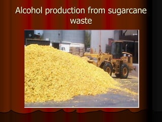 Alcohol production from sugarcane
waste
 