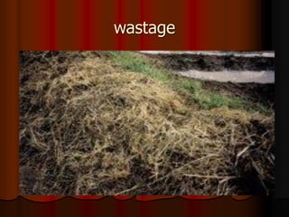 wastage
 
