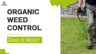 Organic Weed Control - Does it Work?