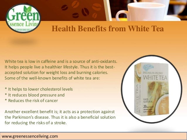 Organic White Tea Taste And Its Benefits