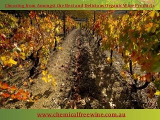 Choosing from Amongst the Best and Delicious Organic Wine Products
www.chemicalfreewine.com.au
 