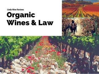 Organic
Wines & Law
Linda Wine Reviews
 