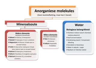 Organiese Molecules And Their Functions DOCX organiese-molecules-and-their-functions-docx