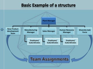 Plant Manager
New Product
development
Team
Manufacturing
Manager
Employee/
Subordinates
Sales Manager
Employee/
Subordinates
Human Resource
Manager
Employee/
Subordinates
Diversity task
Force
 