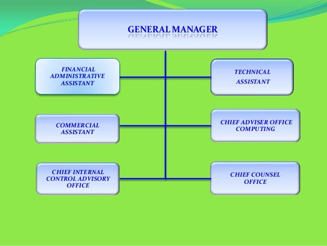 Organigrama