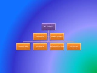 RECTORADO
PROFESORES ALUMNOS P.ADMINISTRATIVO P.SERVICIO
DIRECCION VICERECTORADO
