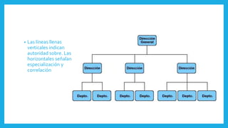 • Las líneas llenas
verticales indican
autoridad sobre. Las
horizontales señalan
especialización y
correlación
 