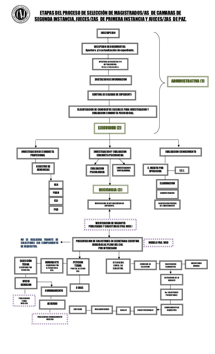 Organigrama proceso de seleccion pdf.