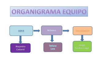 Organigrama 1