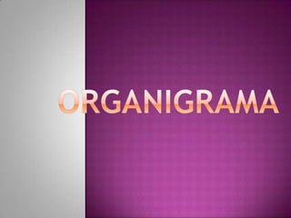ORGANIGRAMA