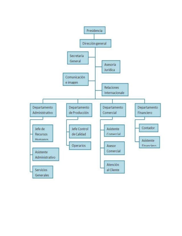 Organigrama De Una Empresa