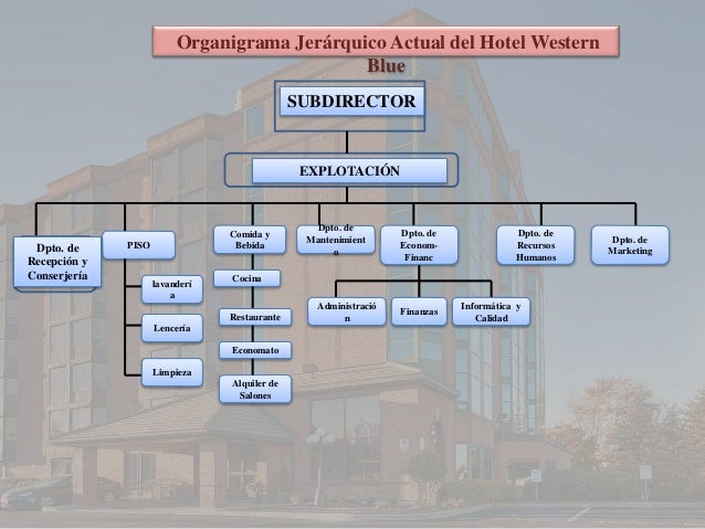 Organigrama hotel copia (2)