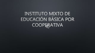 Organigrama Instituto de Educación Básica por Cooperativa