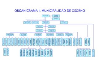 Organigrama municipalidadosorno