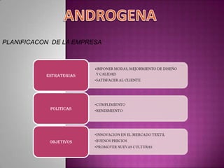 ANDROGENAPLANIFICACON  DE LA EMPRESA