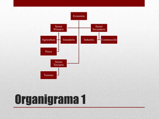 Economía
Sector Sector
Primario Secundario
Agricultura Ganadería Industria Construcción
Pesca
Sector
Terciario
Turismo
Organigrama 1