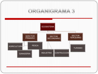 ECOSISTEMA



              SERCTOR              SECTOR               SECTOR
              PRIMARIO           SECUNDARIO            TERCEARIO



AGRICULTURA         PESCA
                                                         TURISMO

        GANADERIA           INDUSTRIA    CONTRUCCION
 