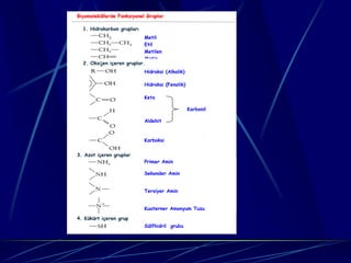 Biyomoleküllerde Fonksiyonel Gruplar
Biyomolekü

  1. Hidrokarbon grupları
                            Metil
                            Etil
                            Metilen
                            Metin
  2. Oksijen içeren gruplar.
                            Hidroksi (Alkolik)

                            Hidroksi (Fenolik)

                            Keto

                                                 Karbonil

                            Aldehit


                            Karboksi


3. Azot içeren gruplar
                            Primer Amin

                            Sekonder Amin


                            Tersiyer Amin


                            Kuaterner Amonyum Tuzu

4. Kükürt içeren grup
                            Sülfhidril grubu
 
