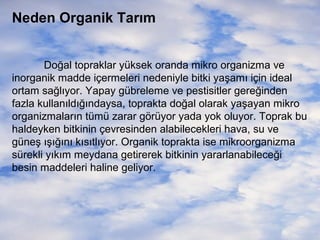 Neden Organik Tarım
Doğal topraklar yüksek oranda mikro organizma ve
inorganik madde içermeleri nedeniyle bitki yaşamı için ideal
ortam sağlıyor. Yapay gübreleme ve pestisitler gereğinden
fazla kullanıldığındaysa, toprakta doğal olarak yaşayan mikro
organizmaların tümü zarar görüyor yada yok oluyor. Toprak bu
haldeyken bitkinin çevresinden alabilecekleri hava, su ve
güneş ışığını kısıtlıyor. Organik toprakta ise mikroorganizma
sürekli yıkım meydana getirerek bitkinin yararlanabileceği
besin maddeleri haline geliyor.

 