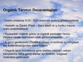 Organik Tarımın Dezavantajları
• Üretim

ortalama %10 - %20 arasında azalma göstermektedir

• Hastalık ve Zararlı (Paslı – Kara lekeli ve iç kurtlu) meyve
oranı artabilmektedir
• Piyasadaki organik gübre ve organik pestisitler henüz
ihtiyaca cevap vermekten uzak görünmektedirler
• İş gücü gereksinimi (Özellikle yabani ot kontrolü iç) kimyasal
ilaç kullanılmadığından daha fazladır
• Organik tarım kurallarına göre üretilen meyve – sebze
bahçelerine daha geniş alanlar ayrılmalıdır, bölgesel
üretimlere gidilmelidir

 