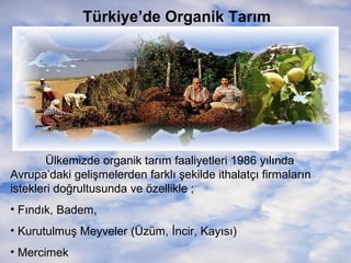 Türkiye’de Organik Tarım

Ülkemizde organik tarım faaliyetleri 1986 yılında
Avrupa’daki gelişmelerden farklı şekilde ithalatçı firmaların
istekleri doğrultusunda ve özellikle ;
• Fındık, Badem,
• Kurutulmuş Meyveler (Üzüm, İncir, Kayısı)
• Mercimek

 
