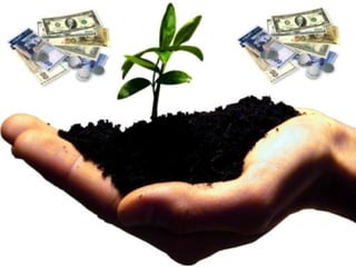 Türkiye’de Organik Tarım 
25.Ekim.2014 Alternatif Tarımsal Üretim Teknikleri Daire Başkanlığı 
 