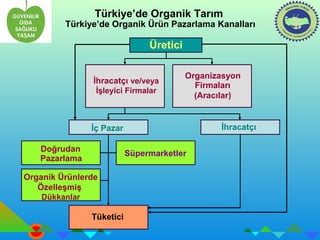 Türkiye’de Organik Tarım 
Türkiye’de Organik Ürün Pazarlama Kanalları 
İç Pazar İhracatçı 
Doğrudan 
Pazarlama Süpermarketler 
Organik Ürünlerde 
Özelleşmiş 
Dükkanlar 
Tüketici 
Üretici 
İhracatçı ve/veya 
İşleyici Firmalar 
Organizasyon 
Firmaları 
(Aracılar) 
 