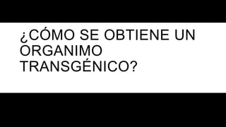 ¿CÓMO SE OBTIENE UN
ORGANIMO
TRANSGÉNICO?
 