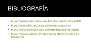 BIBLIOGRAFÍA
• https://concepto.de/organismos-transgenicos/#ixzz7s5ZA3LIC
• https://es.wikidat.com/info/organismos-transgenicos
• https://www.mipielsana.com/alimentos-transgenicos-historia
• https://respuestasabia.com.mx/cual-fue-el-primer-organismo-
transgenico
 