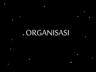 ORGANISASI
 