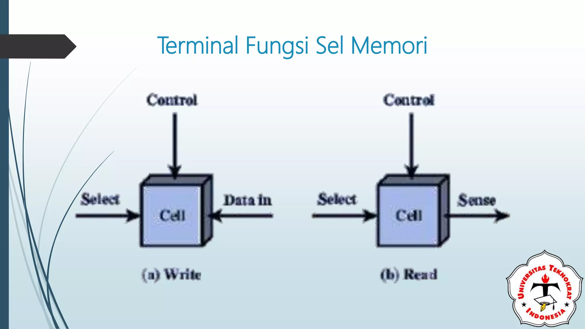 Terminal Fungsi Sel Memori
 