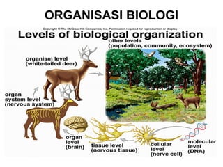 ORGANISASI BIOLOGI
 