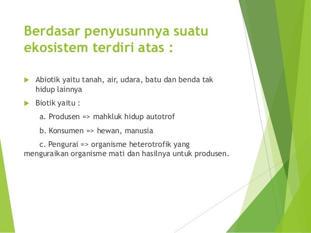 Organisasi kehidupan, pencemaran dan etika lingkungan