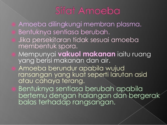 Organisasi Sel Amoeba Sarah