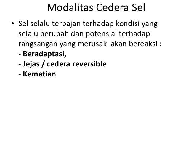 Organisasi sel naufal