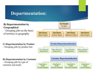 Departmentation:
B) Departmentation by
Geographical
– Grouping jobs on the basis
of territory or geography
C) Departmentation by Product
– Grouping jobs by product line
D) Departmentation by Customer
– Grouping jobs by type of
customer and needs
 