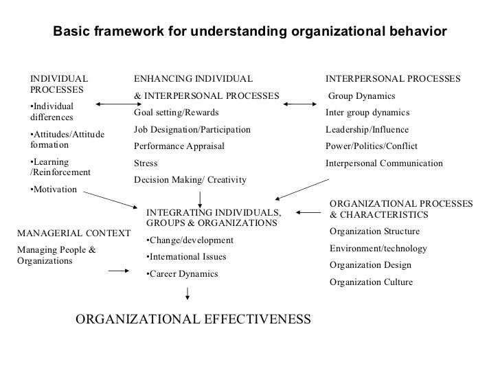 Organisation Theory