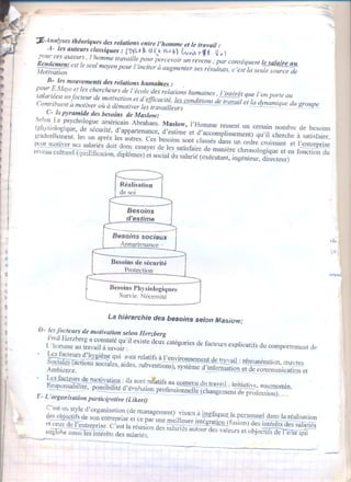 Organisation 2éme année lycée