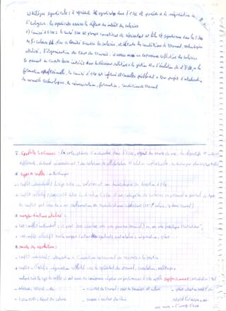 Organisation 2éme année lycée