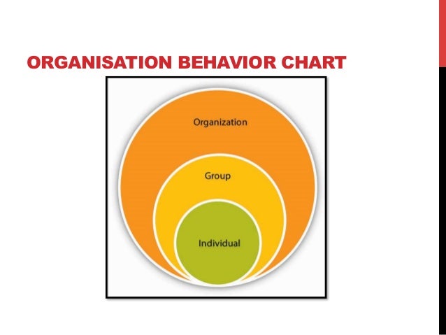 Organizational Behavior Chart