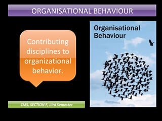ORGANISATIONAL BEHAVIOUR Contributing disciplines to organizational behavior. CMS, SECTION F, IIIrd Semester 