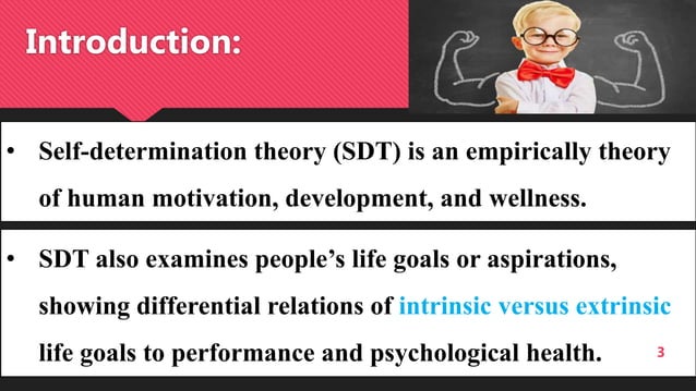 Organisational Behaviour- Self Determination Theory (SDT)- MBA | PPT