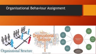 Organisational Behaviour Assignment
 