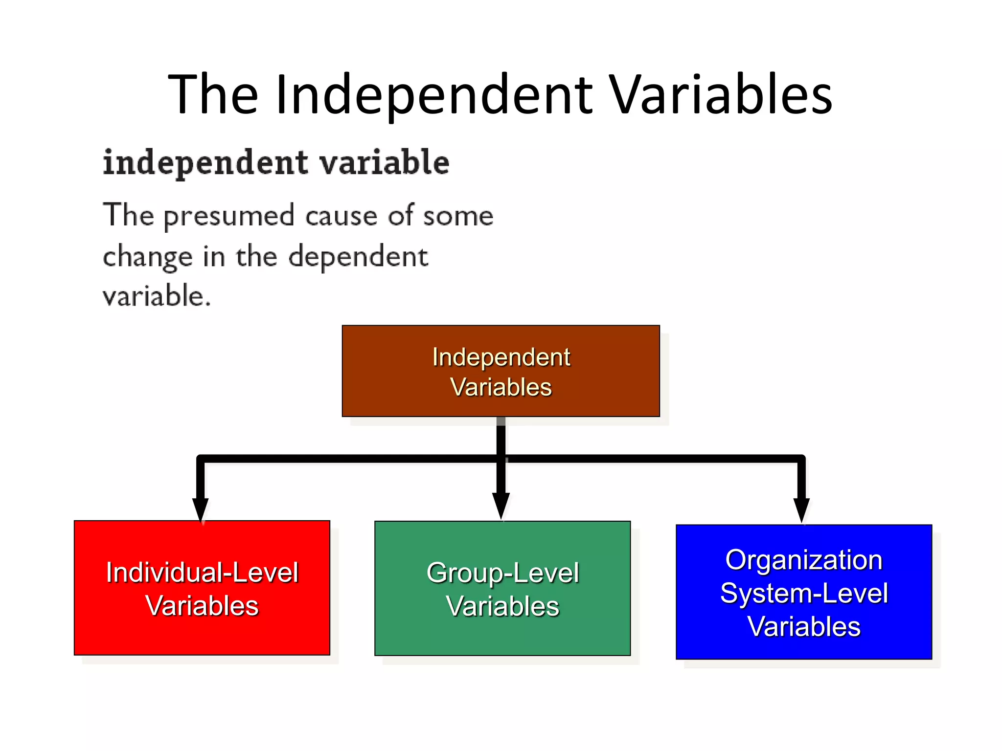 The Independent Variables 
Independent 
Variables 
Individual-Level 
Variables 
Organization 
System-Level 
Variables 
Group-Level 
Variables 
 