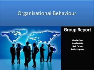 Organisational Behaviour
 
